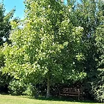 Dom wakacyjny D'anne Et Ulysse *