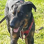 D'anne Et Ulysse Dom wakacyjny