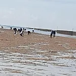 D'anne Et Ulysse * Sept-Freres