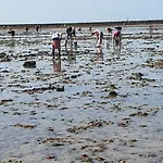 Dom wakacyjny D'anne Et Ulysse Sept-Freres