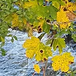 D'anne Et Ulysse Dom wakacyjny Sept-Freres