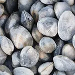 Dom wakacyjny D'anne Et Ulysse