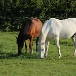 D'anne Et Ulysse Dom wakacyjny
