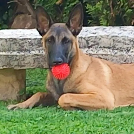 D'anne Et Ulysse * Sept-Freres