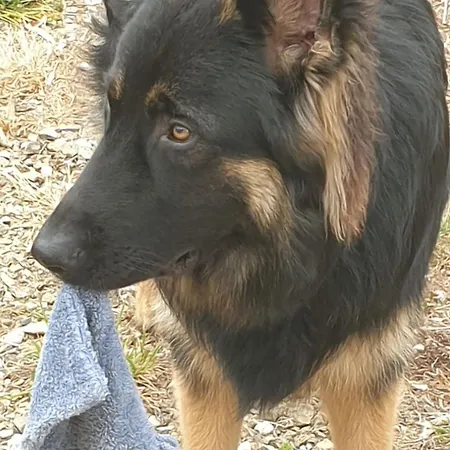 Casa vacanze D'anne Et Ulysse Sept-Freres