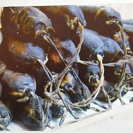 D'anne Et Ulysse Дом отдыха *