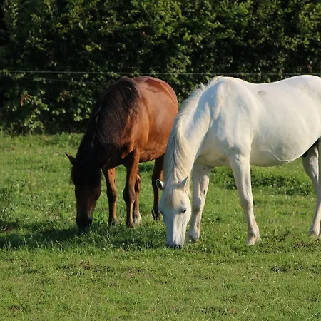 D'anne Et Ulysse 別荘