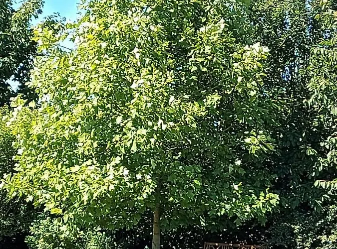 Feriehus D'anne Et Ulysse *