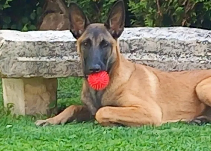 D'anne Et Ulysse * Sept-Freres