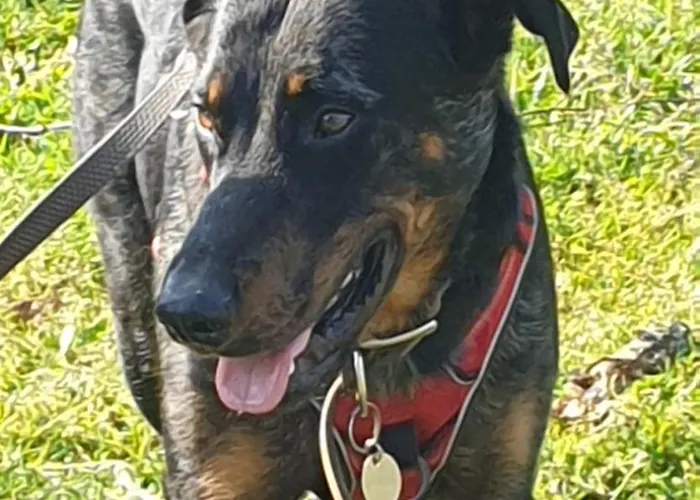 D'anne Et Ulysse Ferienhaus