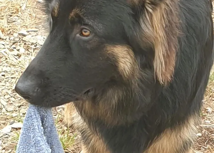 Сasa de vacaciones D'anne Et Ulysse Sept-Freres