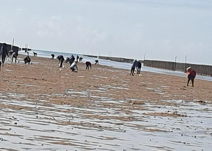 D'anne Et Ulysse * Sept-Freres