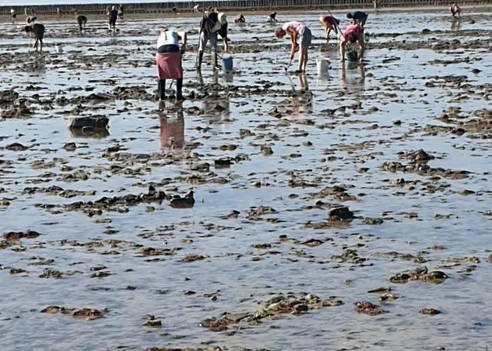 Feriehus D'anne Et Ulysse Sept-Freres