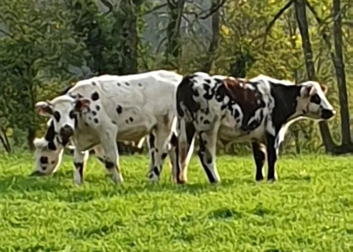 Feriehus D'anne Et Ulysse