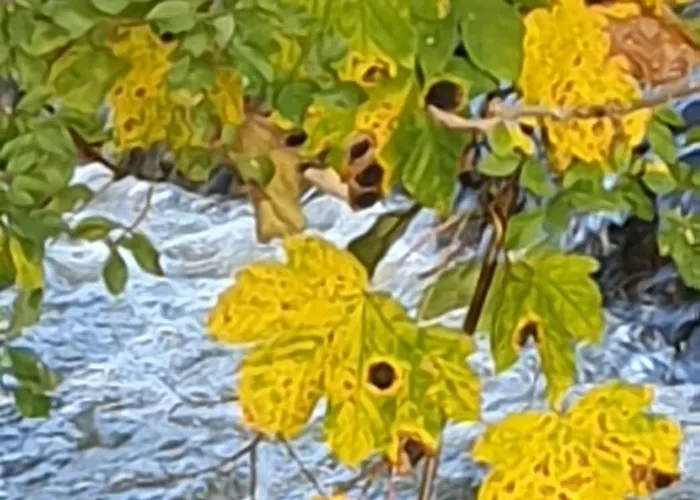 D'anne Et Ulysse Дом отдыха Sept-Freres