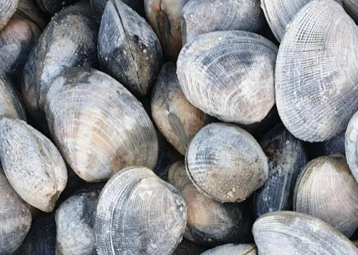 Feriehus D'anne Et Ulysse