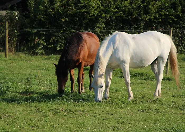 D'anne Et Ulysse 別荘