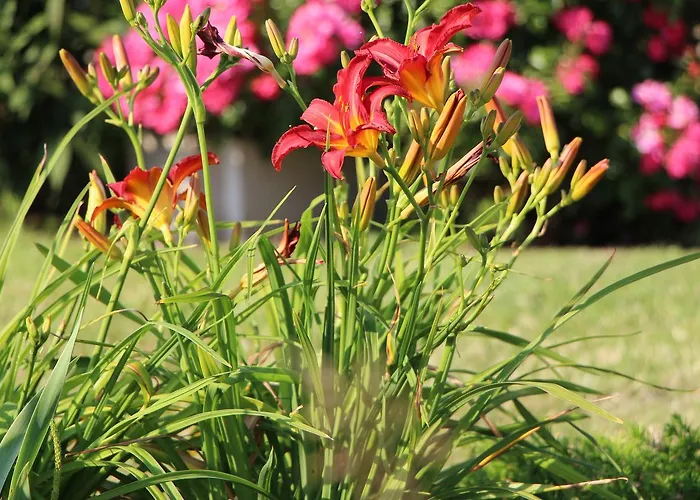 Сasa de vacaciones D'anne Et Ulysse Sept-Freres